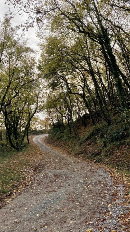 La Fonte Di Gaiche Konuk evi Piegaro  Dış mekan fotoğraf