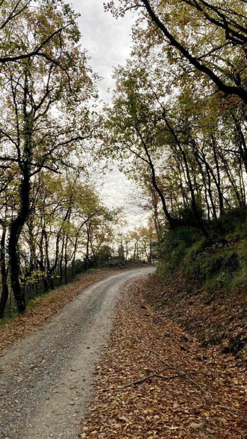La Fonte Di Gaiche Konuk evi Piegaro  Dış mekan fotoğraf