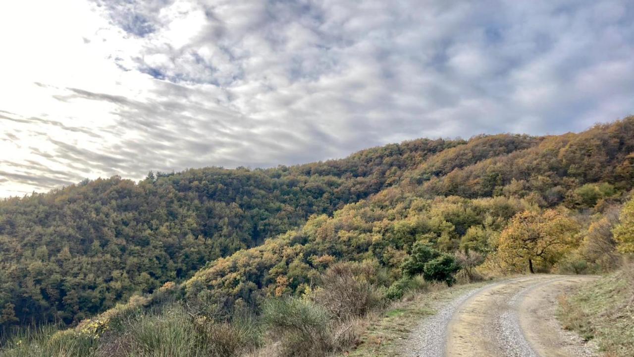 La Fonte Di Gaiche Konuk evi Piegaro  Dış mekan fotoğraf